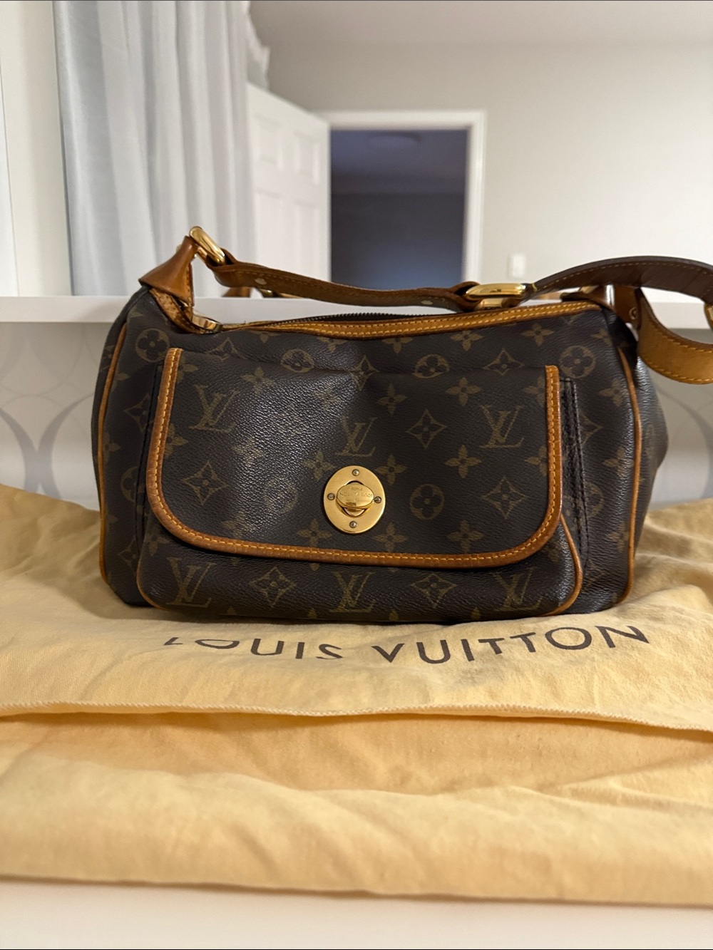 Louis Vuitton Monogram Canvas Shoulder Bag with Gold Hardware